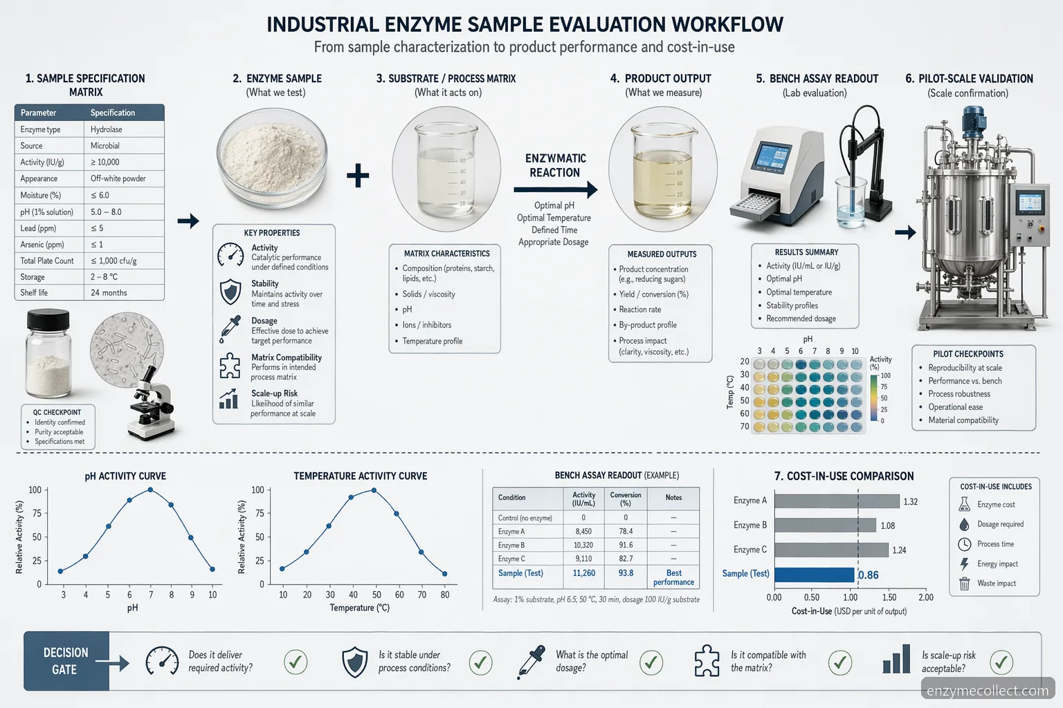enzyme samples supplier for r&d workflow diagram with pH, temperature, activity, and scale-up validation checkpoints