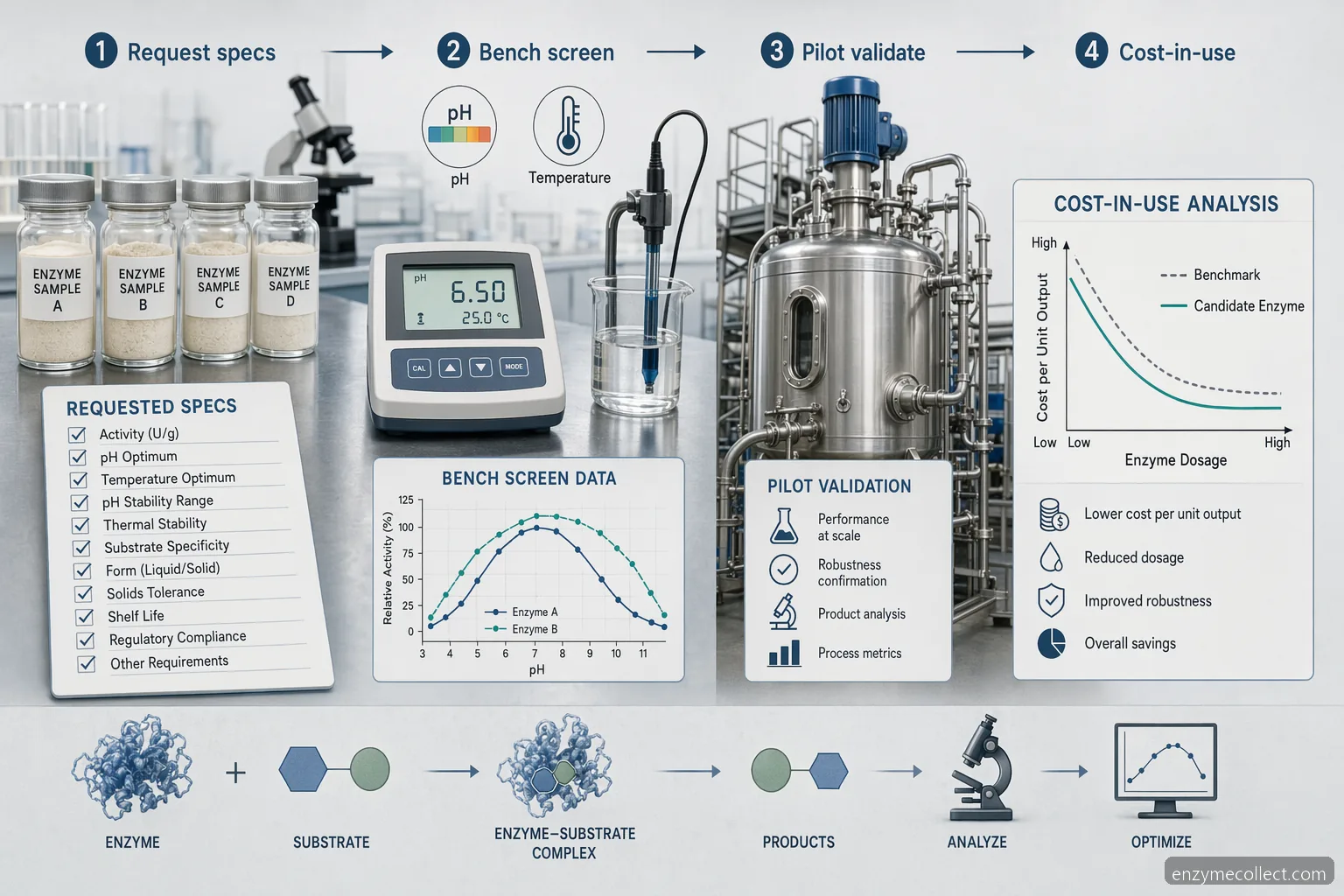 enzyme samples supplier for r&d infographic showing sample sourcing, bench testing, pilot validation, and cost checks