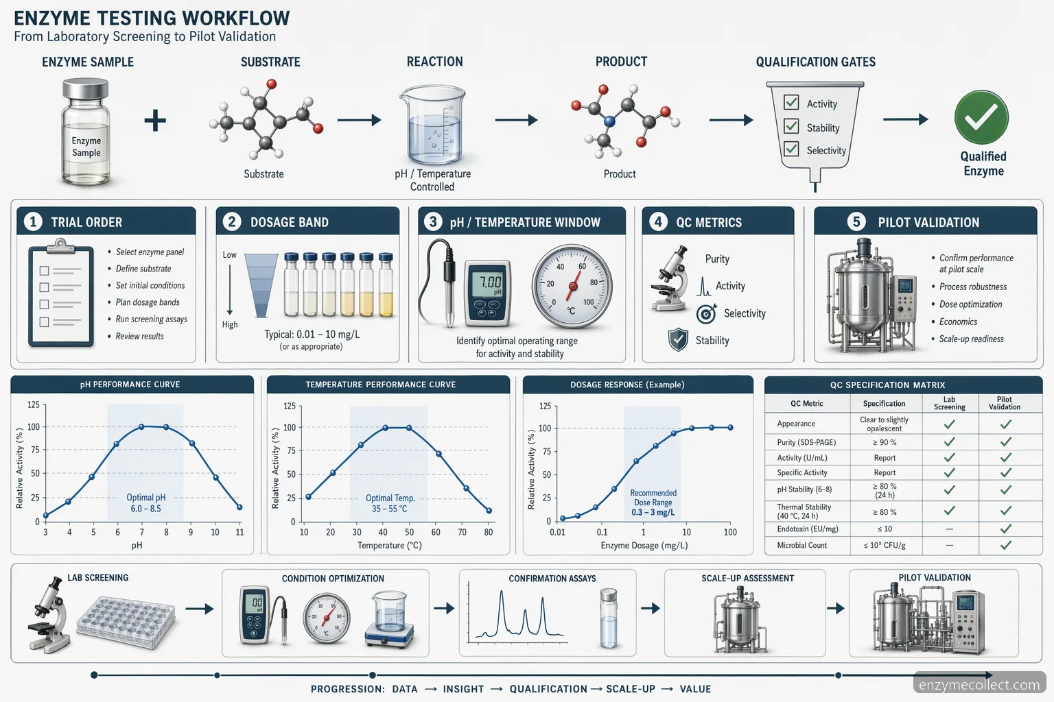 enzyme samples supplier for testing process guide, mapping pH, temperature, dosage, QC metrics, and scale-up decision gates