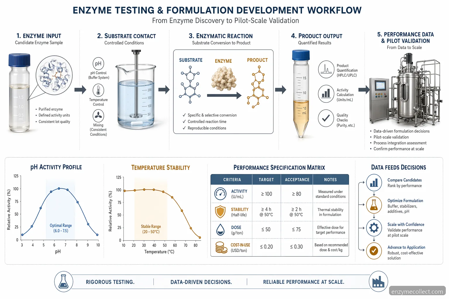 industrial enzyme testing r&d for formulation development, process diagram linking pH, temperature, substrate and scale-up