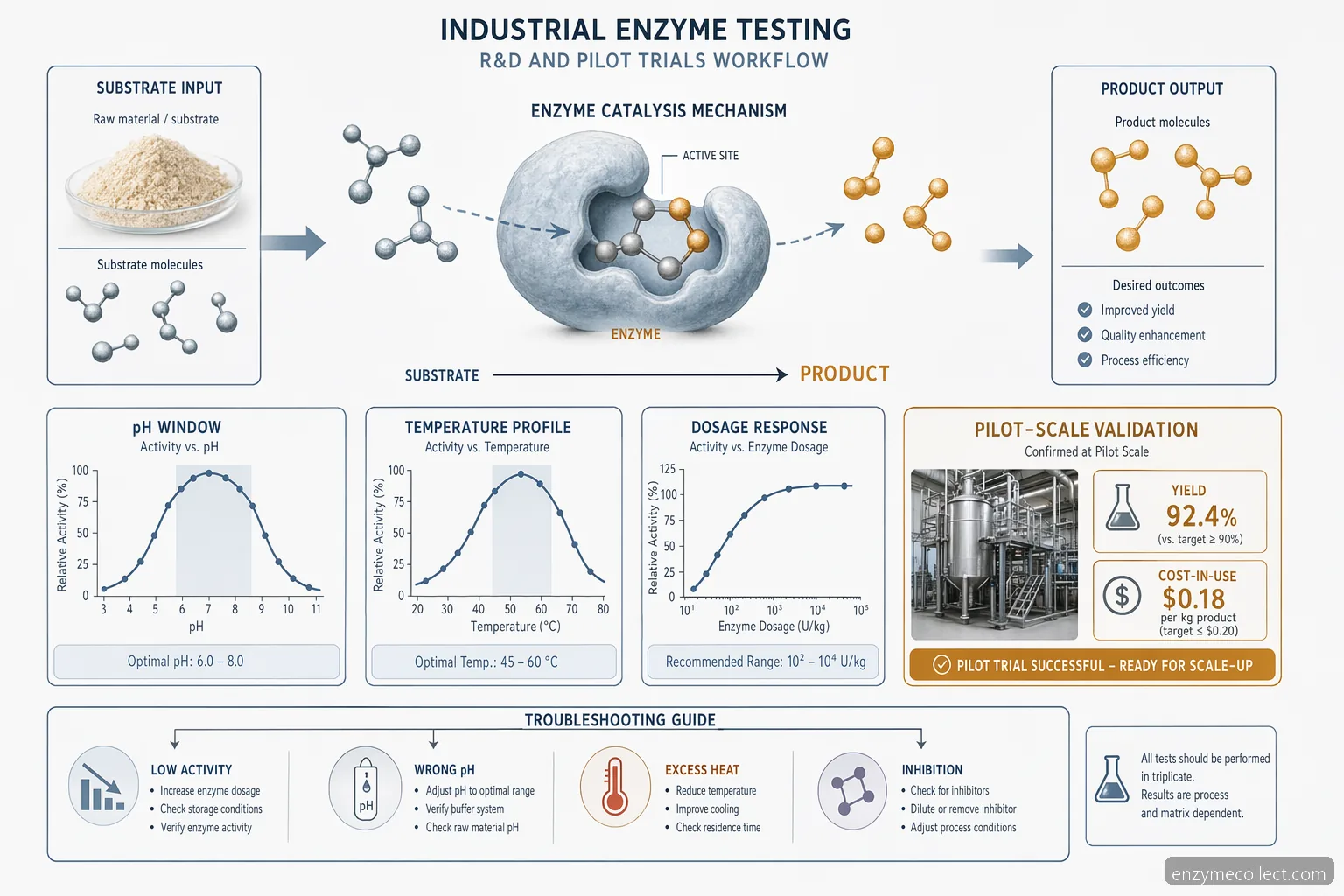 industrial enzyme testing testing for pilot trials: substrate-to-product workflow with pH and temperature windows