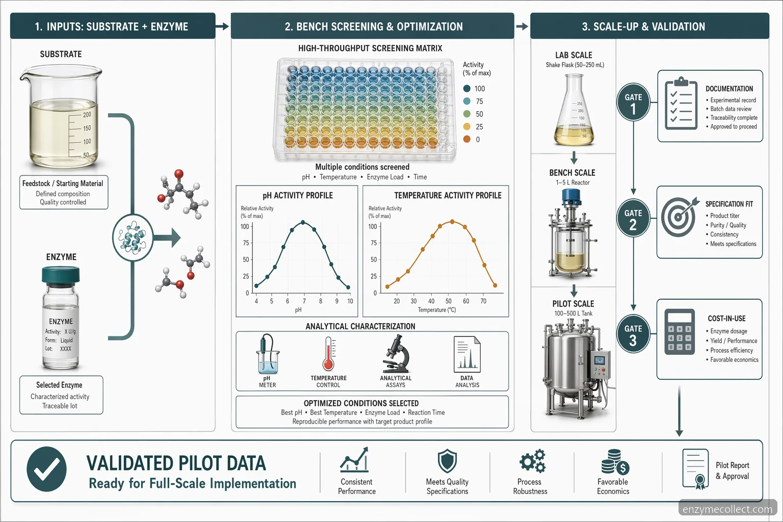 industrial enzyme trial order r&d testing workflow with pH and temperature curves, substrate reaction, and scale-up gates